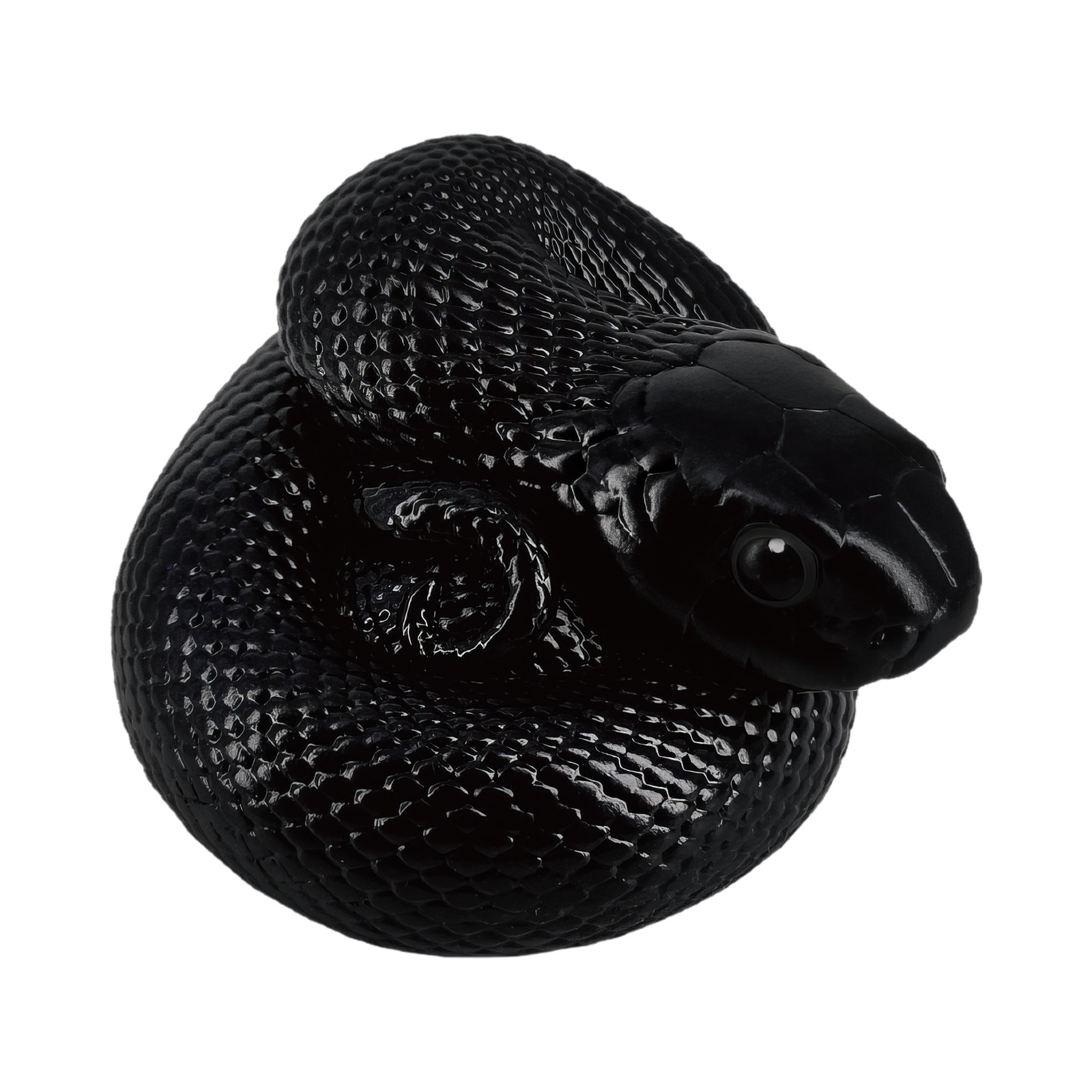 AHB Series 5 - Mexican Black Kingsnake – Lampropeltis getula nigrita | Snake