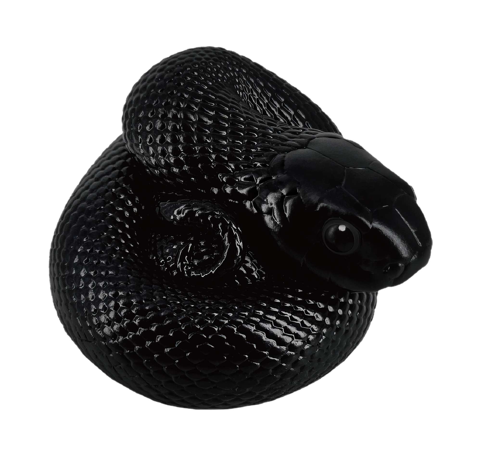 Mexican Black Kingsnake