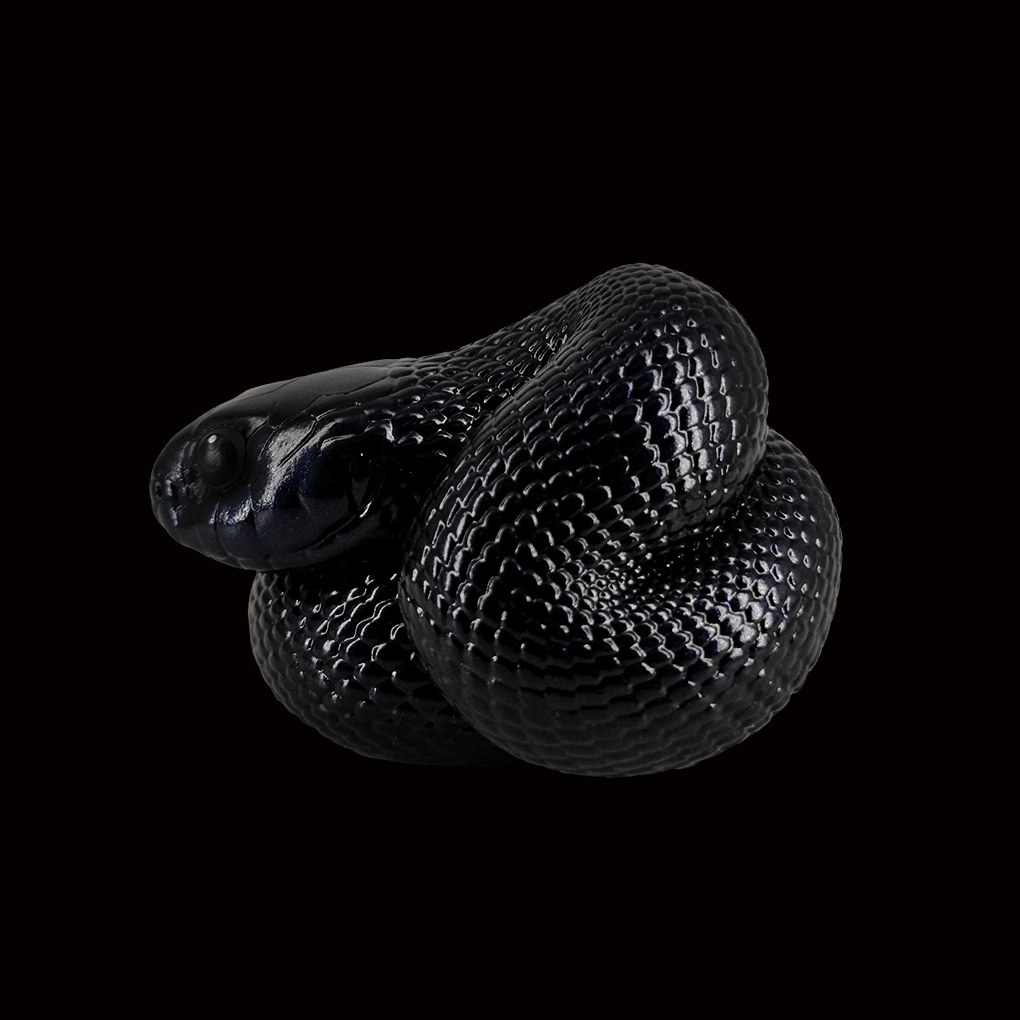 AHB-SNAKE-V5-05_02-a37f1019 AHB Series 5 - Mexican Black Kingsnake – Lampropeltis getula nigrita | Snake