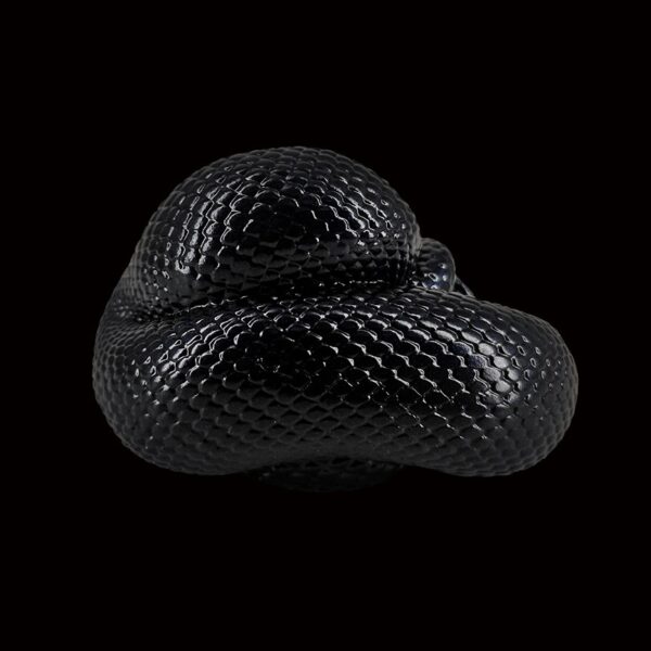 AHB-SNAKE-V5-05_03-45169cb1 AHB Series 5 - Mexican Black Kingsnake – Lampropeltis getula nigrita | Snake