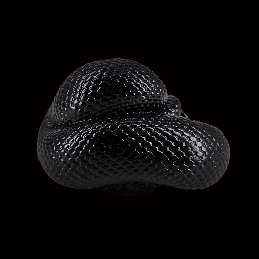 AHB-SNAKE-V5-05_03-45169cb1 AHB Series 5 - Mexican Black Kingsnake – Lampropeltis getula nigrita | Snake