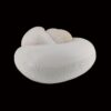 AHB Series 5 - Leucistic Ball Python – Python regius | Snake