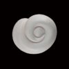 AHB Series 5 - Leucistic Ball Python – Python regius | Snake