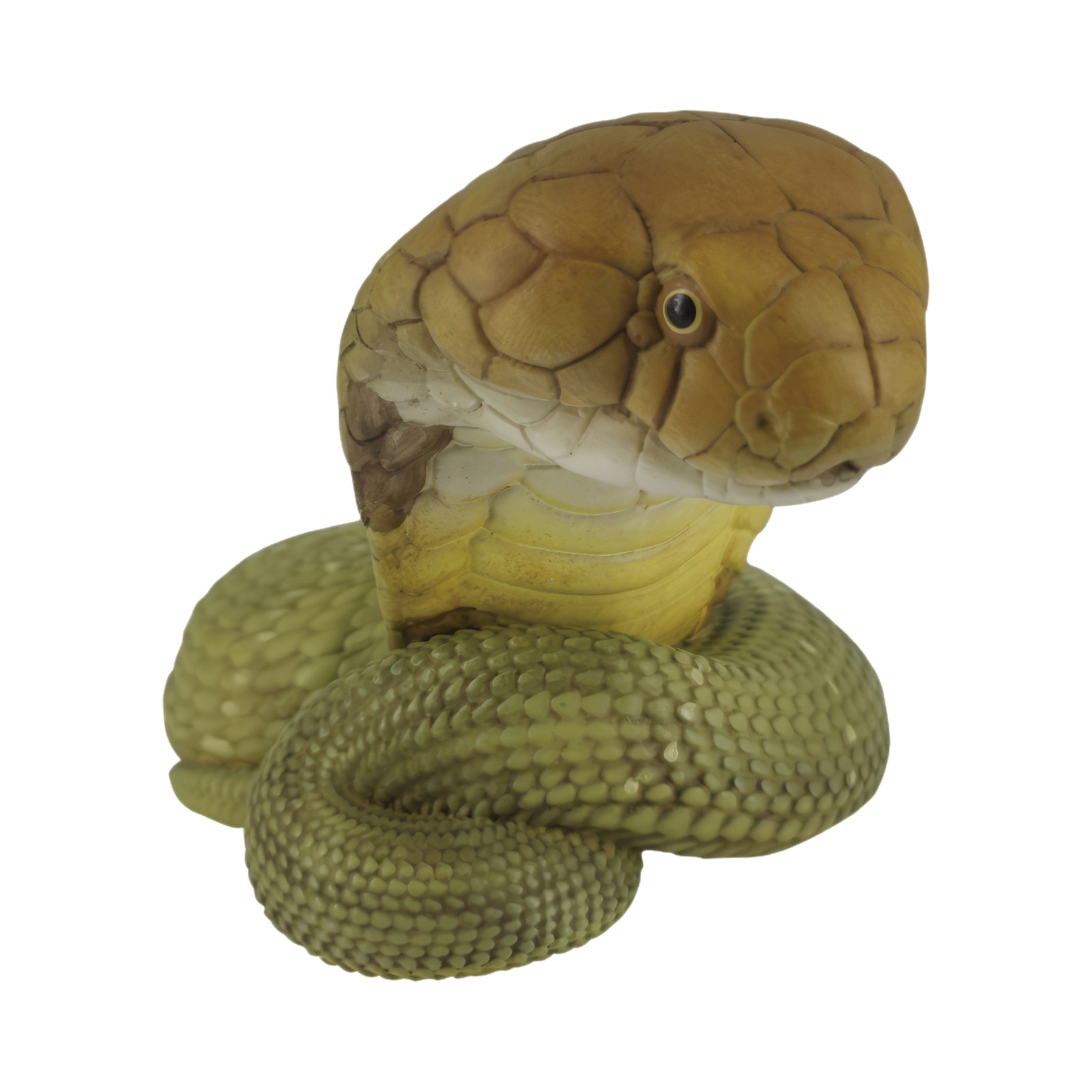 AHB Series 5 - King Cobra – Ophiophagus hannah | Snake
