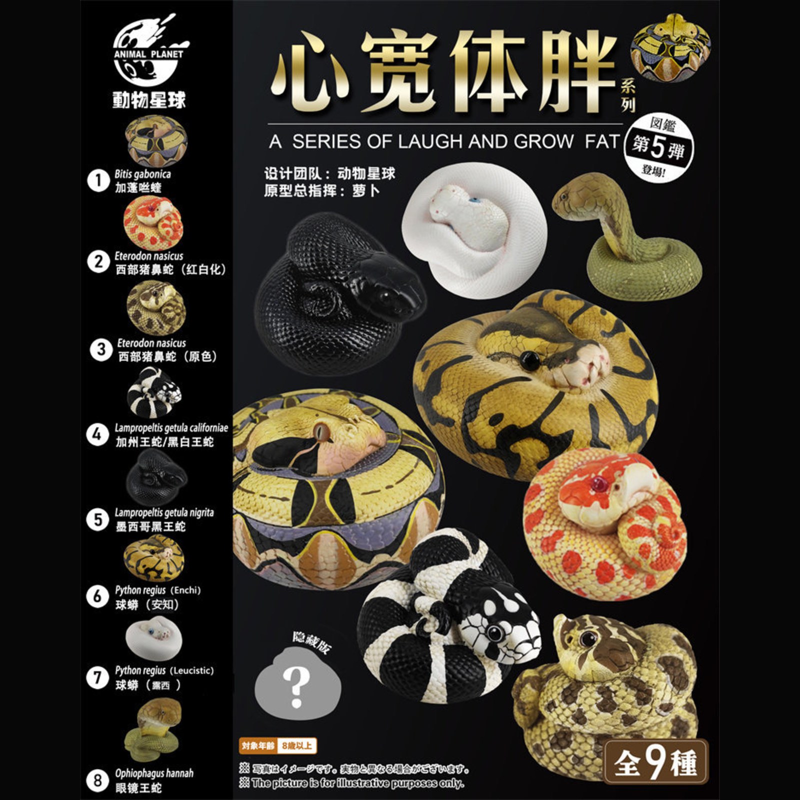 AHB Series 5 - Leucistic Ball Python – Python regius | Snake