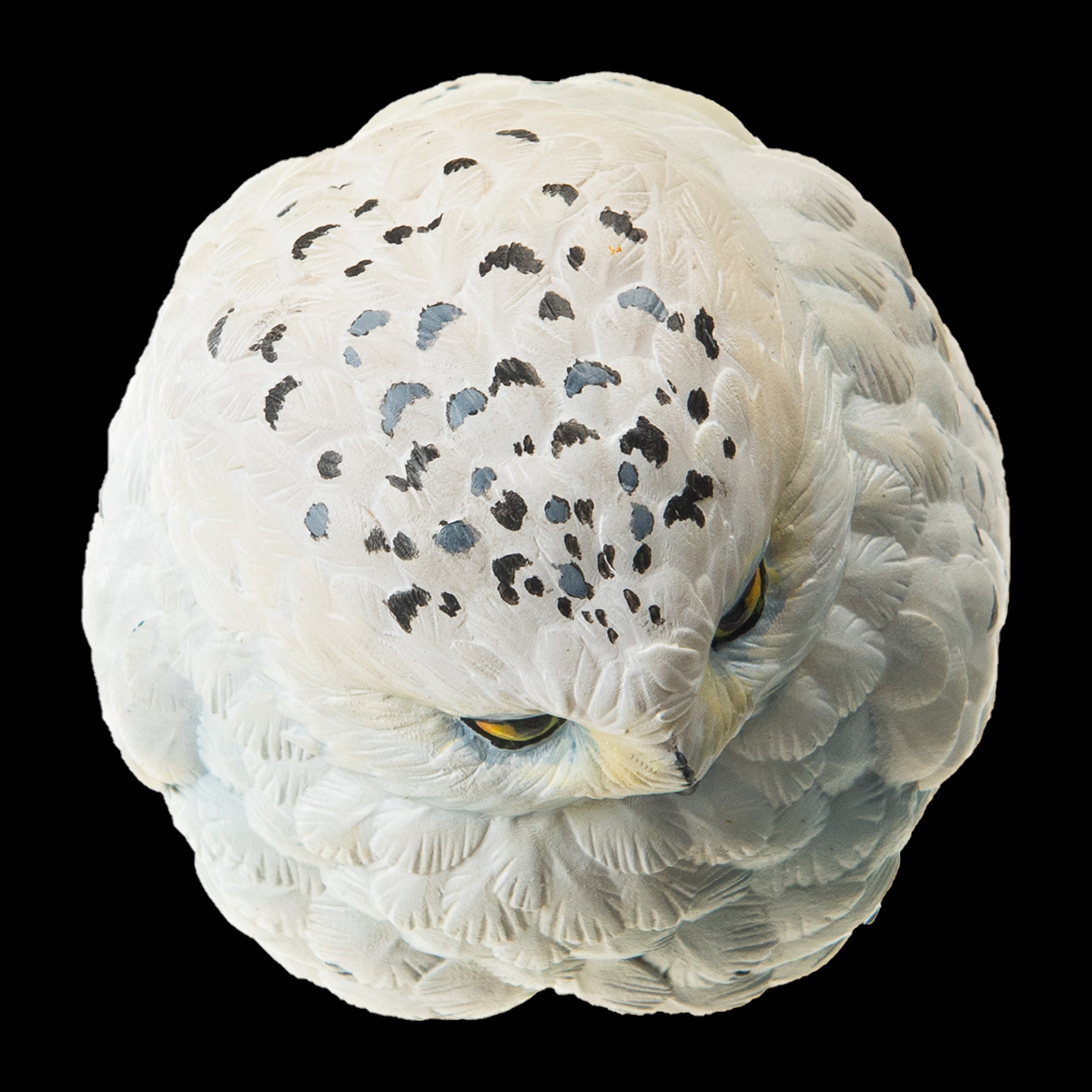 AHB Series 10 - Snowy Owl – Bubo scandiaca | Bird
