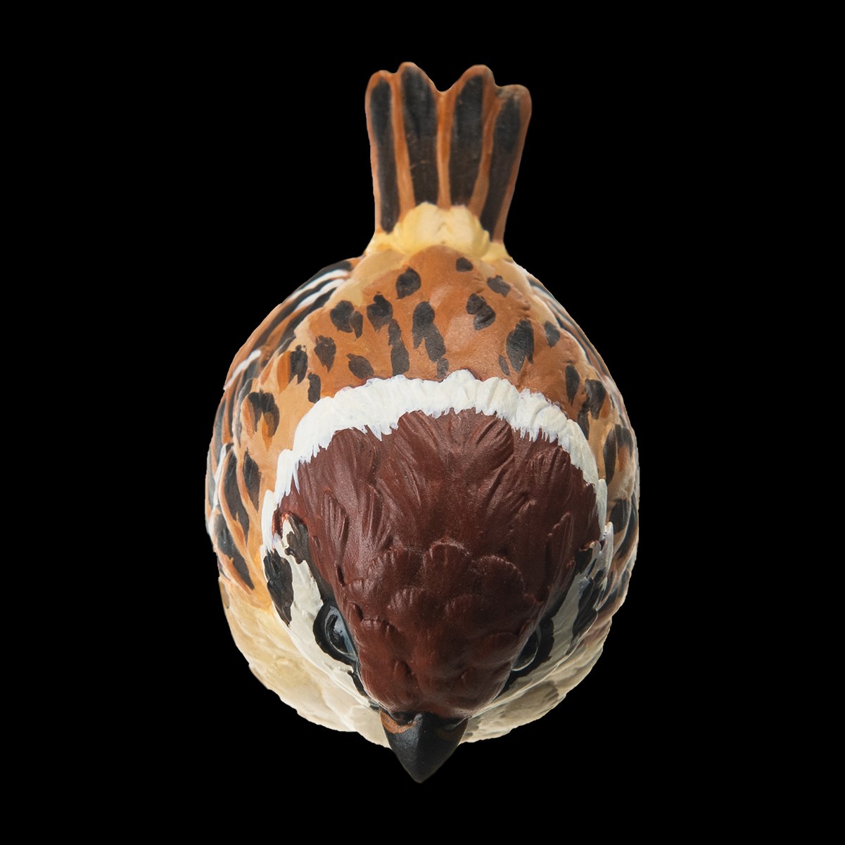 AHB Series 10 - Eurasian Tree Sparrow – Passer montanus | Bird