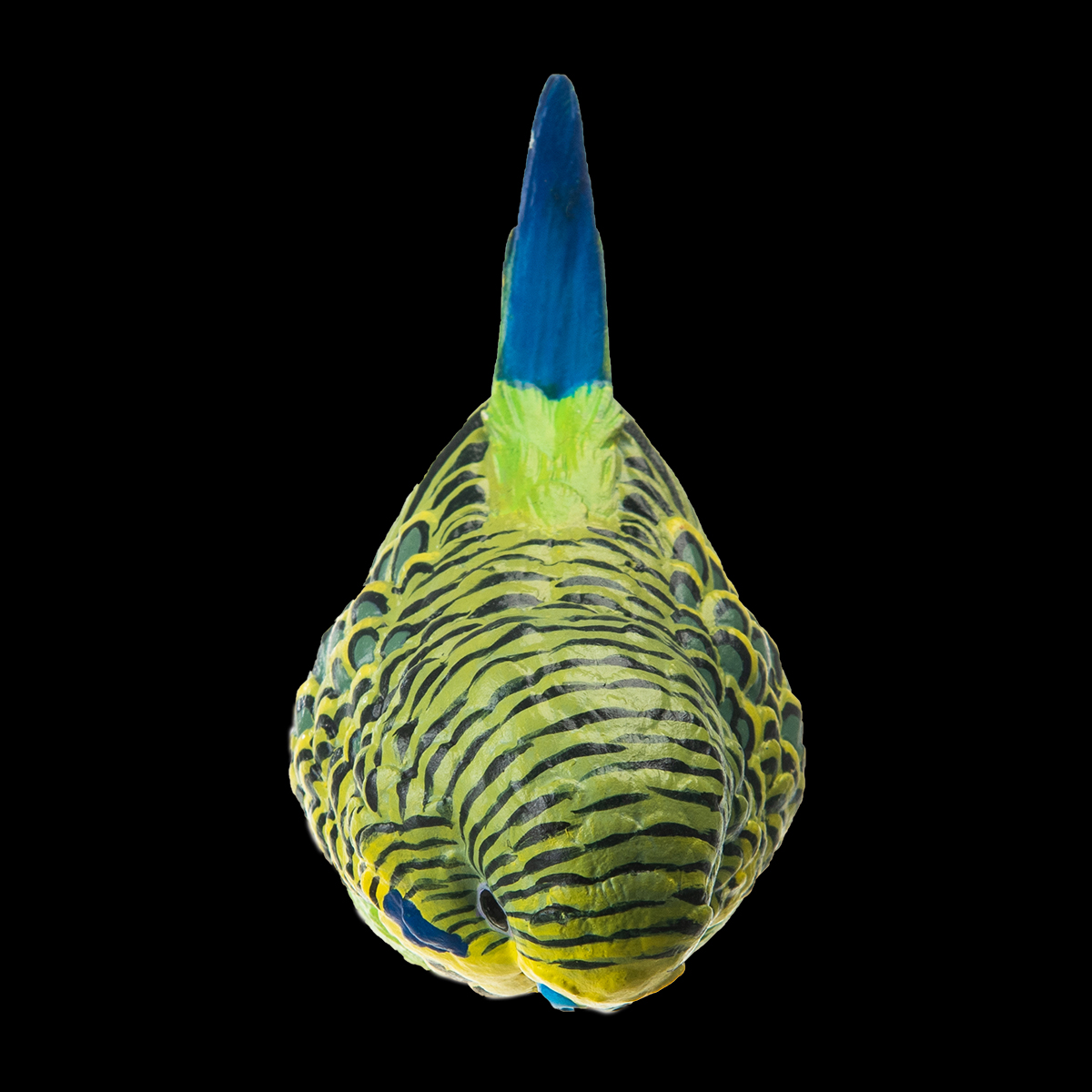 AHB Series 10 - Green Budgerigar – Melopsittacus undulatus | Bird