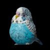 AHB-Bird-V10-04_01 AHB Series 10 - Blue Budgerigar – Melopsittacus undulatus | Bird