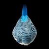 AHB-Bird-V10-04_02 AHB Series 10 - Blue Budgerigar – Melopsittacus undulatus | Bird