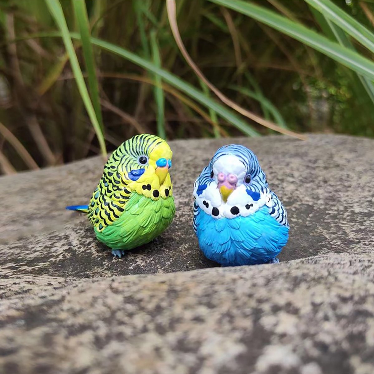 AHB Series 10 - Green Budgerigar – Melopsittacus undulatus | Bird