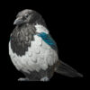 AHB Series 10 - Eurasian Magpie – Pica pica | Bird