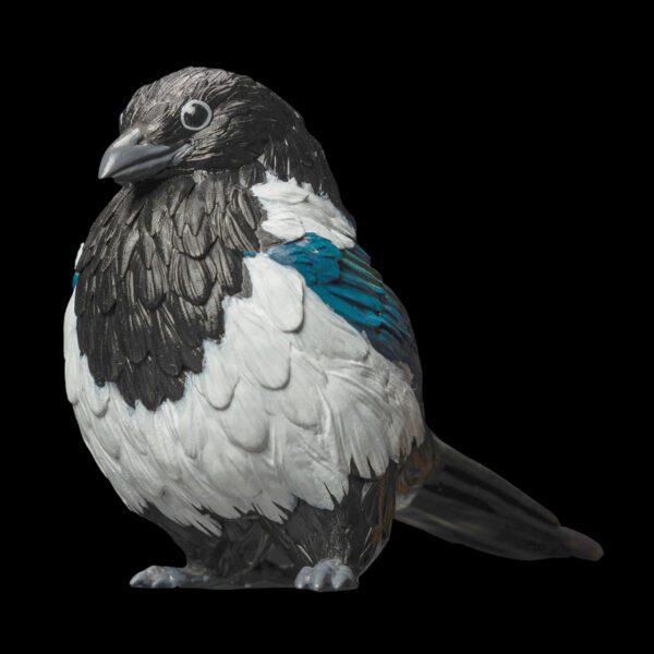 AHB Series 10 - Eurasian Magpie – Pica pica | Bird