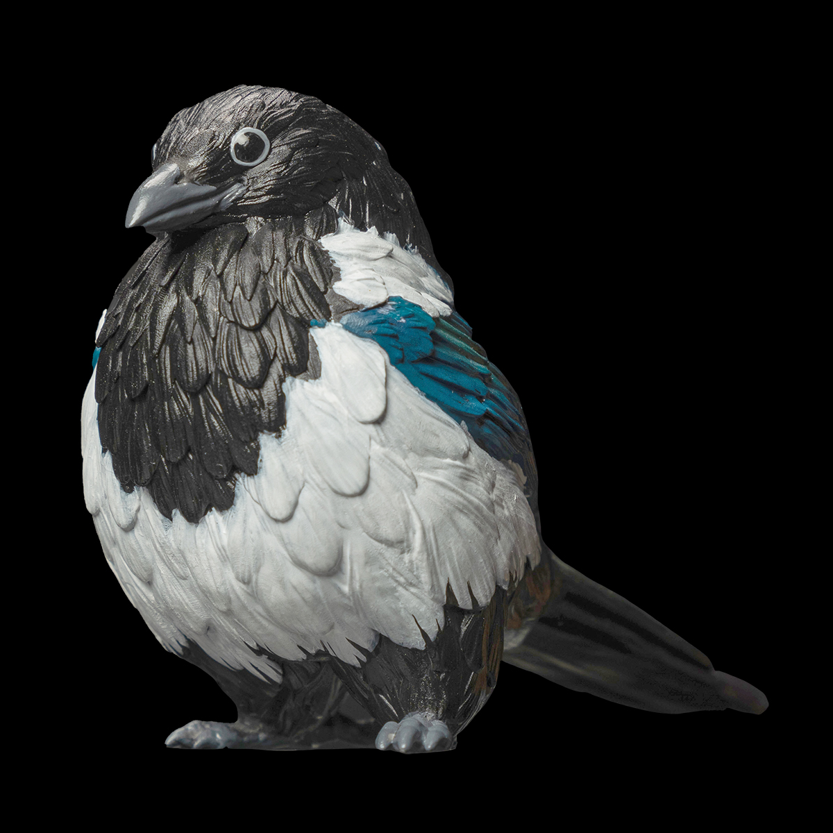 AHB Series 10 - Eurasian Magpie – Pica pica | Bird