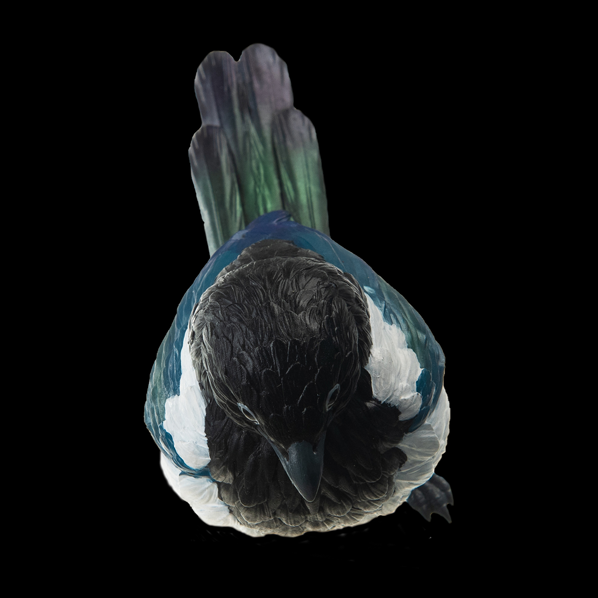 AHB Series 10 - Eurasian Magpie – Pica pica | Bird