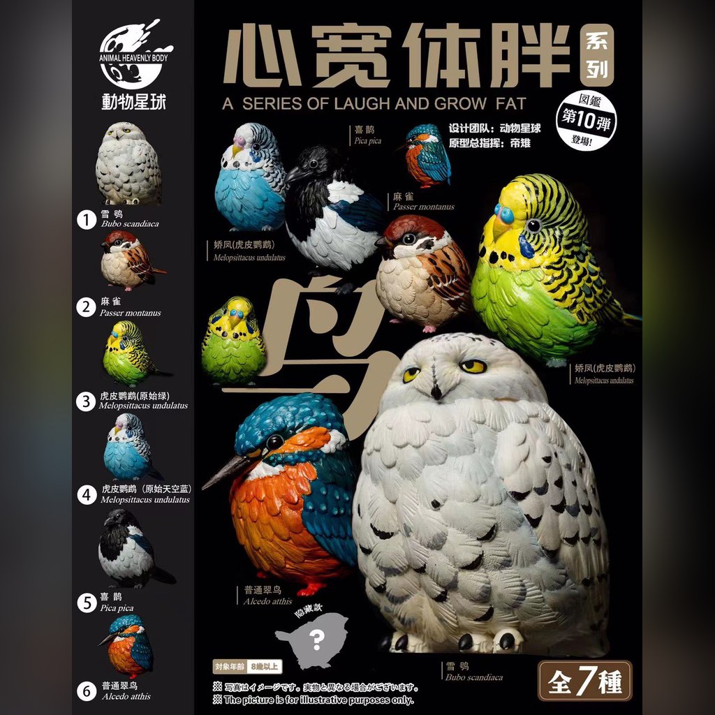 AHB Series 10 - Eurasian Tree Sparrow – Passer montanus | Bird