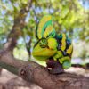 AHB Series 15 - Veiled Chameleon (Green) – Chamaeleo calyptratus | Chameleon