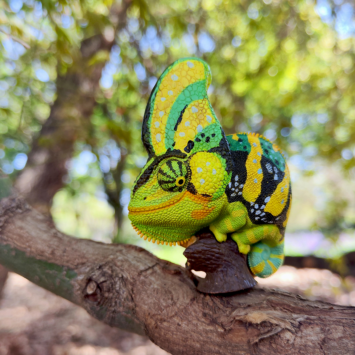 AHB Series 15 - Veiled Chameleon (Green) – Chamaeleo calyptratus | Chameleon