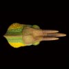 AHB Series 15 - Jackson&rsquo;s Chameleon – Trioceros jacksonii | Chameleon