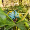 AHB Series 15 - Parson&rsquo;s Chameleon – Calumma parsonii | Chameleon