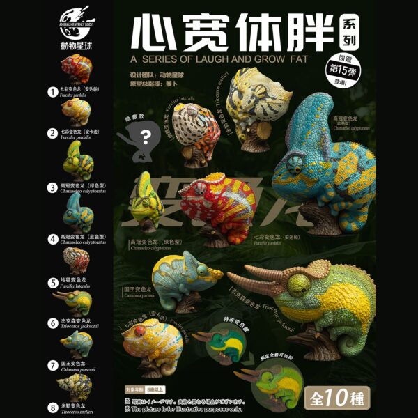 AHB Series 15 - Panther Chameleon (Ankify) – Furcifer pardalis | Chameleon