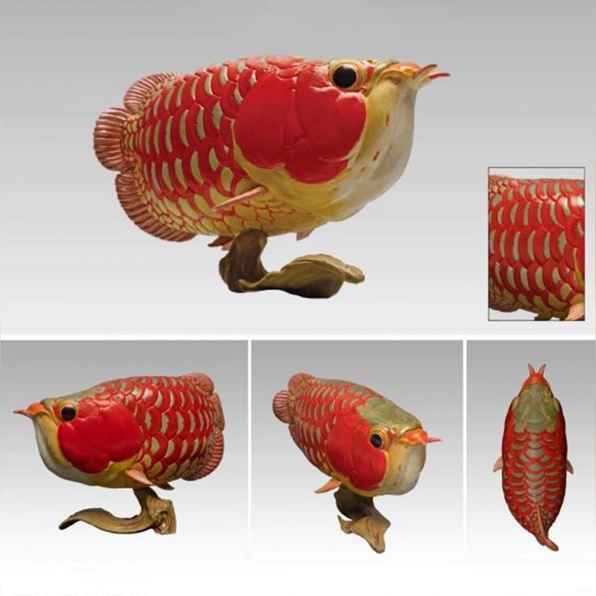 AHB-FISH-V12-01_07-a3d3d0e3 AHB Series 12 - Super Red Arowana – Scleropages legendrei | Fish