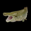 AHB Series 12 - Alligator Gar – Atractosteus spatula | Fish