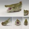 AHB Series 12 - Alligator Gar – Atractosteus spatula | Fish