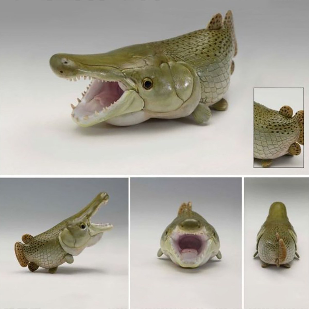 AHB Series 12 - Alligator Gar – Atractosteus spatula | Fish