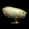 AHB-FISH-V12-05_01 AHB Series 12 - Silver Arowana – Osteoglossum bicirrhosum | Fish