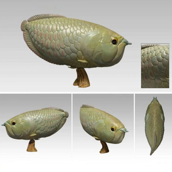 AHB-FISH-V12-05_07 AHB Series 12 - Silver Arowana – Osteoglossum bicirrhosum | Fish