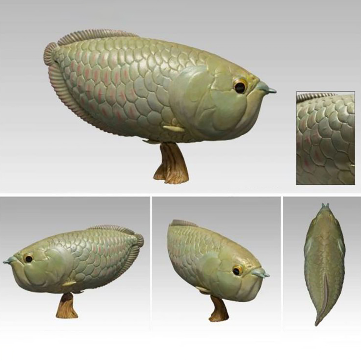 AHB-FISH-V12-05_07 AHB Series 12 - Silver Arowana – Osteoglossum bicirrhosum | Fish