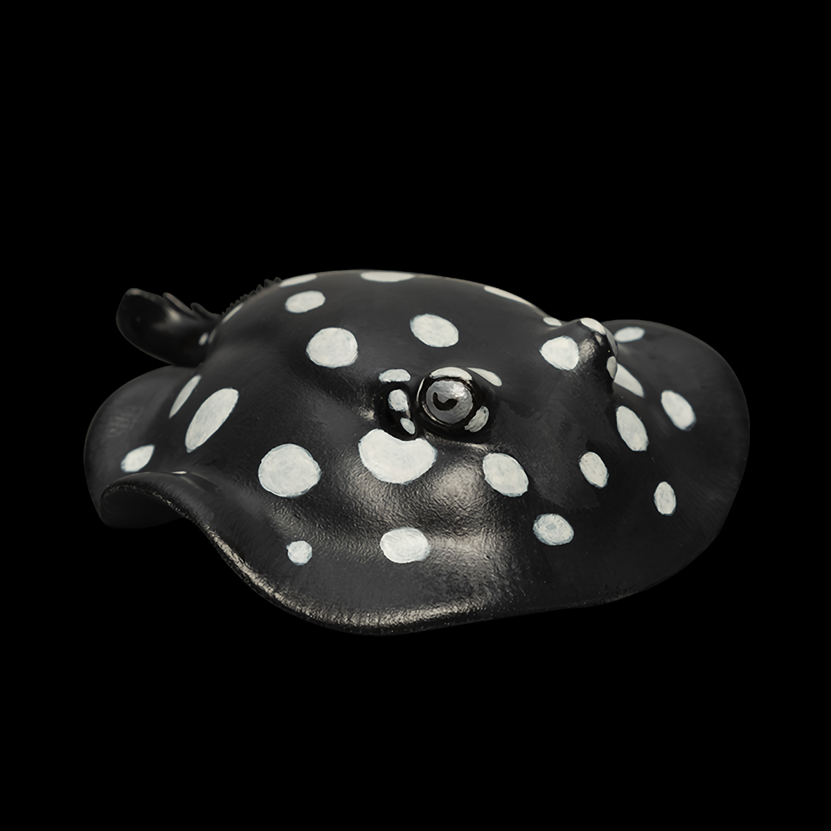 AHB Series 12 - Polka Dot Stingray – Potamotrygon leopoldi | Fish