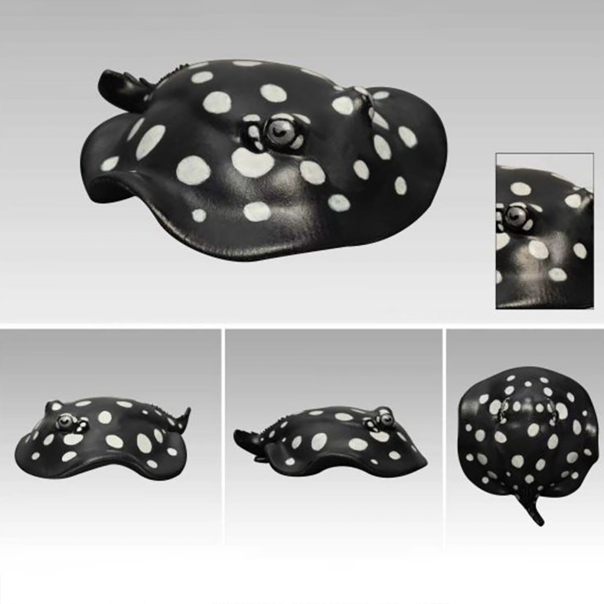 AHB Series 12 - Polka Dot Stingray – Potamotrygon leopoldi | Fish
