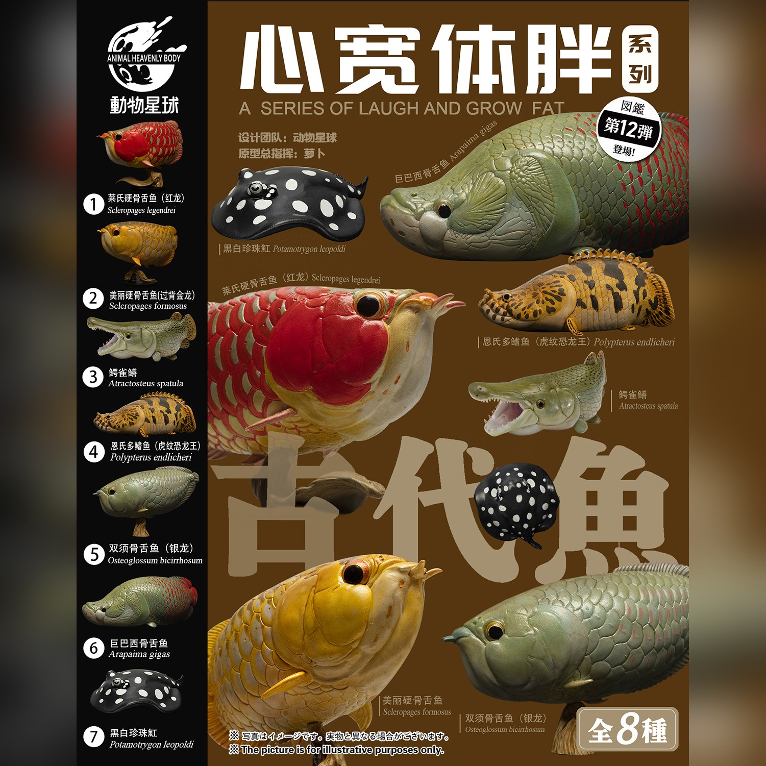 AHB Series 12 - Arapaima – Arapaima gigas | Fish
