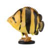 AHB-FISH-V21-01_01 AHB Series 21 - Siamese Tiger Fish – Datnioides pulcher | Fish