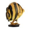 AHB-FISH-V21-01_04-557dc52f AHB Series 21 - Siamese Tiger Fish – Datnioides pulcher | Fish