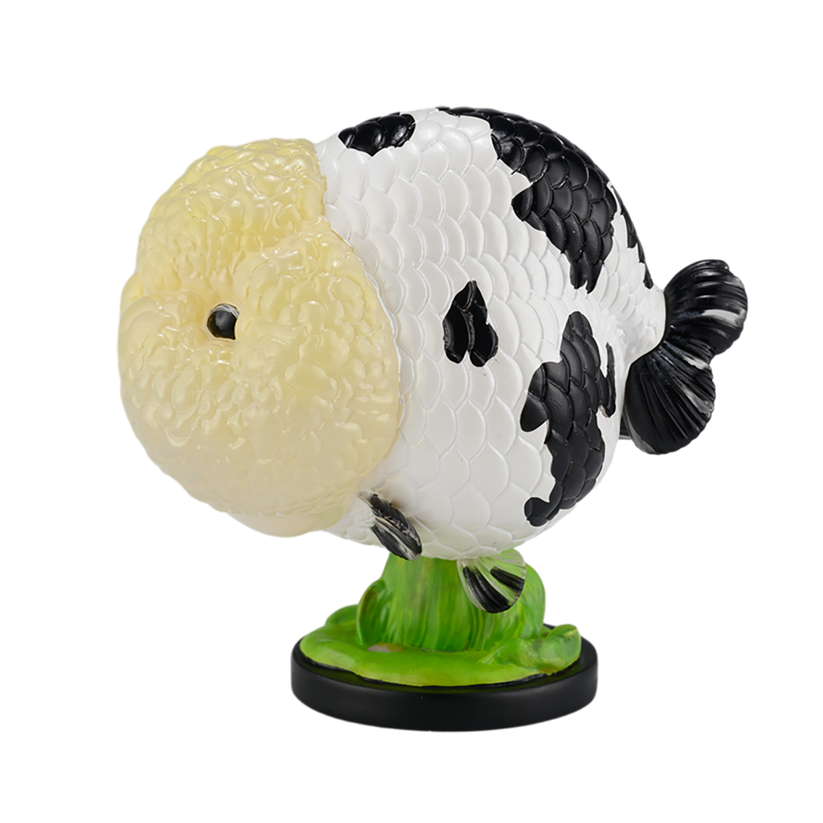 AHB Series 21 - Milk Cow Ranchu Goldfish – Carassius auratus | Fish