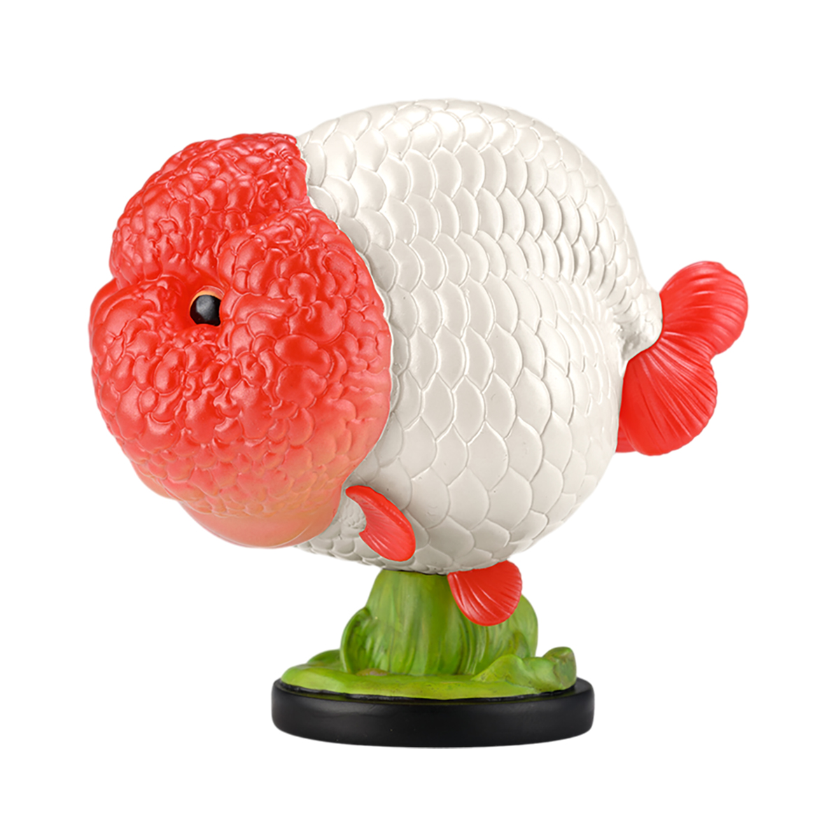 AHB Series 21 - Red Head Ranchu Goldfish – Carassius auratus | Fish