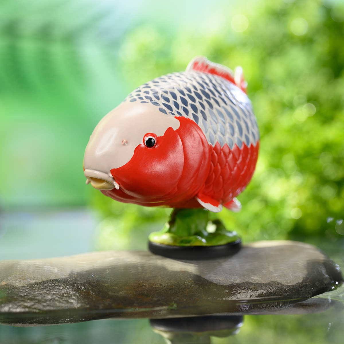 AHB Series 21 - Asagi Koi – Cyprinus carpio | Fish
