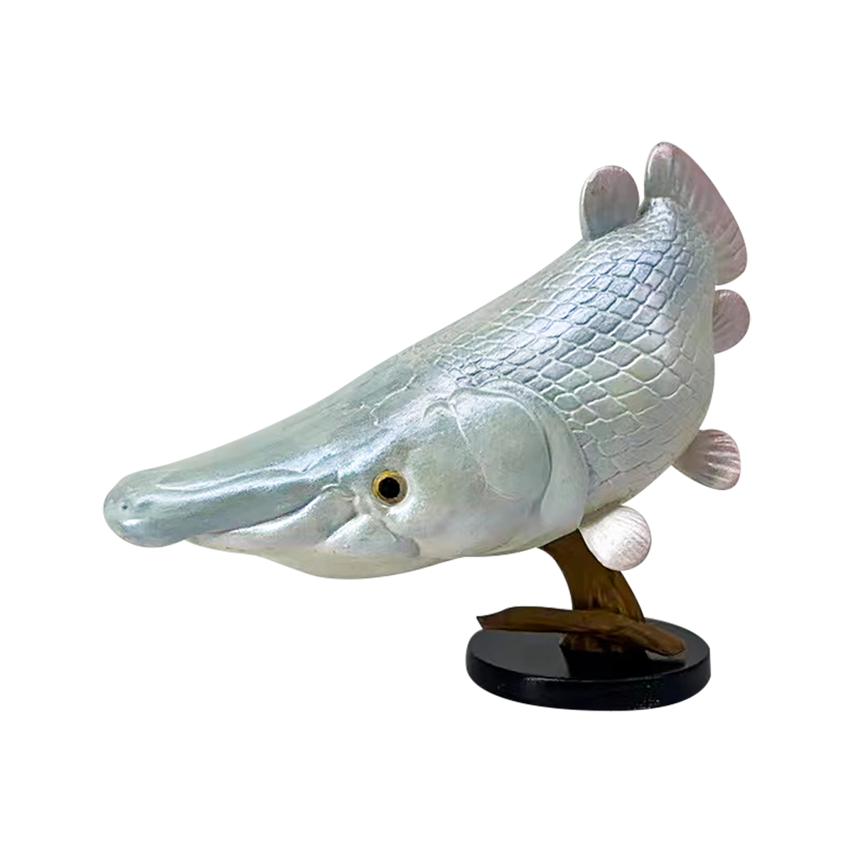 AHB Series 21 - Alligator Gar – Atractosteus spatula | Fish