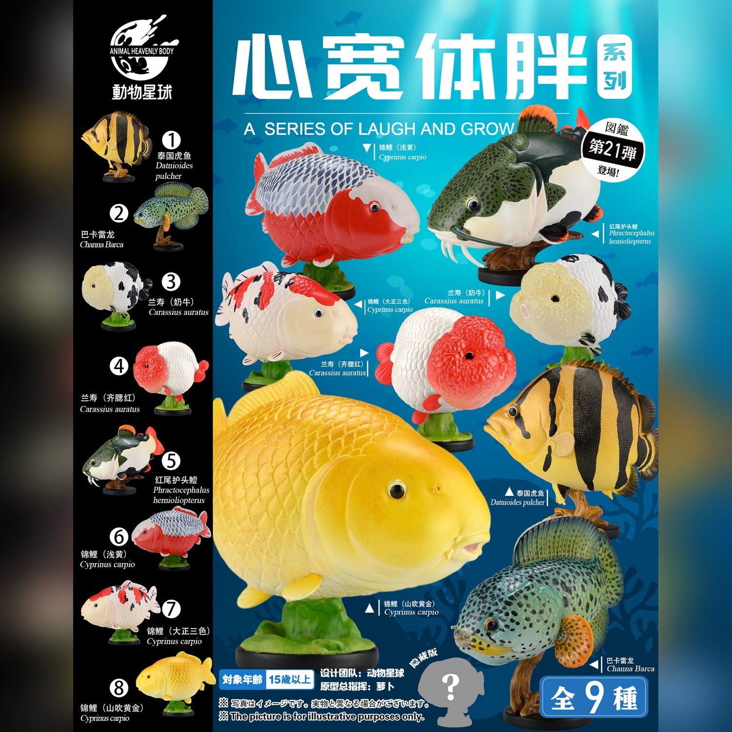 AHB Series 21 - Barca Snakehead – Channa barca | Fish