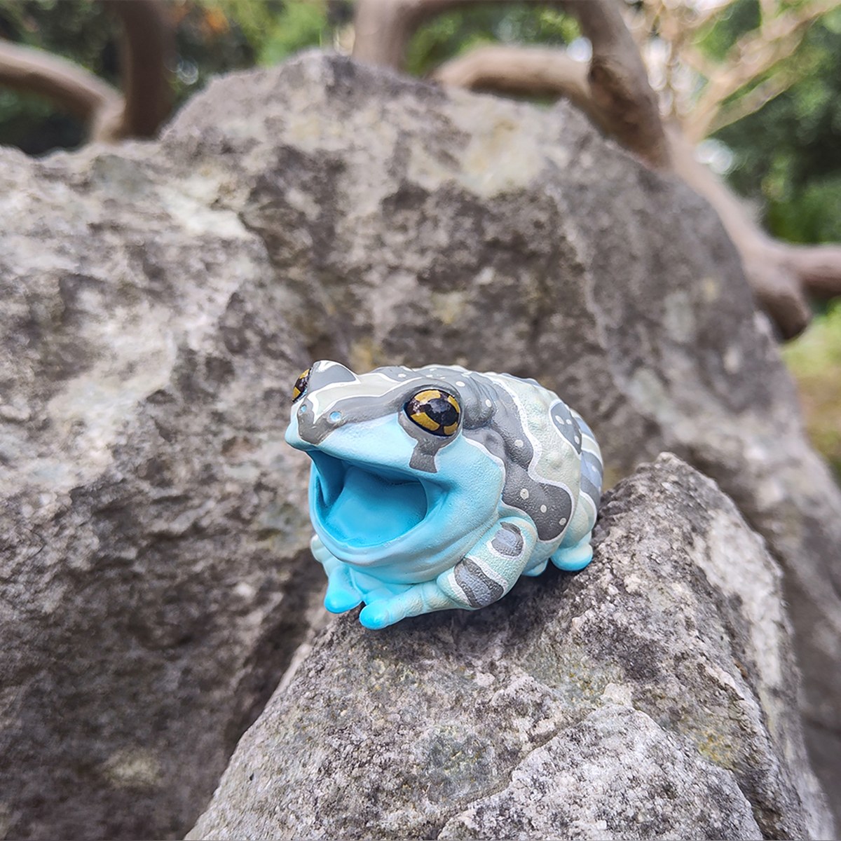 AHB Series 20 - Amazon Milk Frog – Trachycephalus resinifictrix | Frog