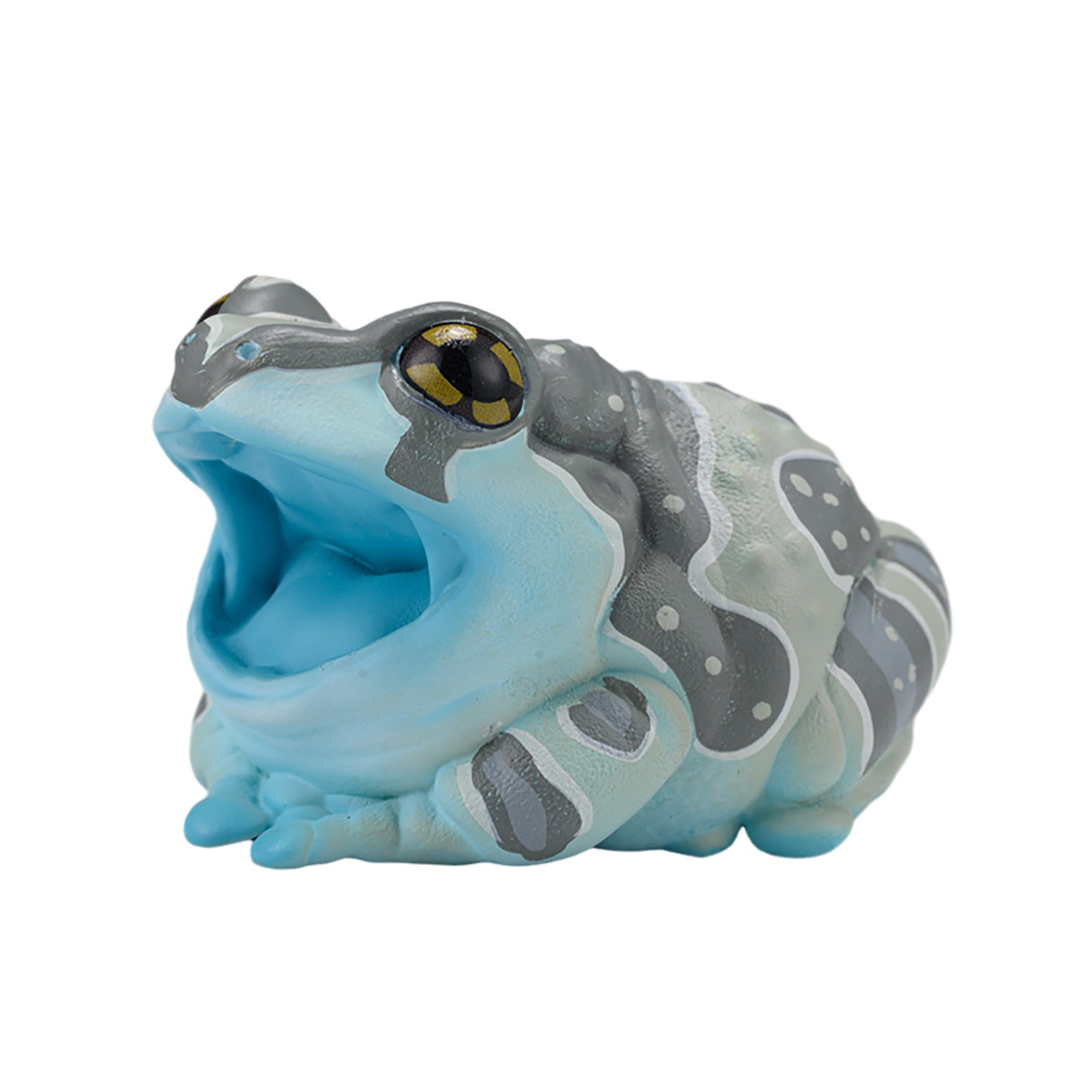 AHB Series 20 - Amazon Milk Frog – Trachycephalus resinifictrix | Frog