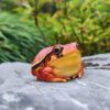 AHB-FROG-V20-05_05 AHB Series 20 - Tomato Frog – Dyscophus antongilii | Frog