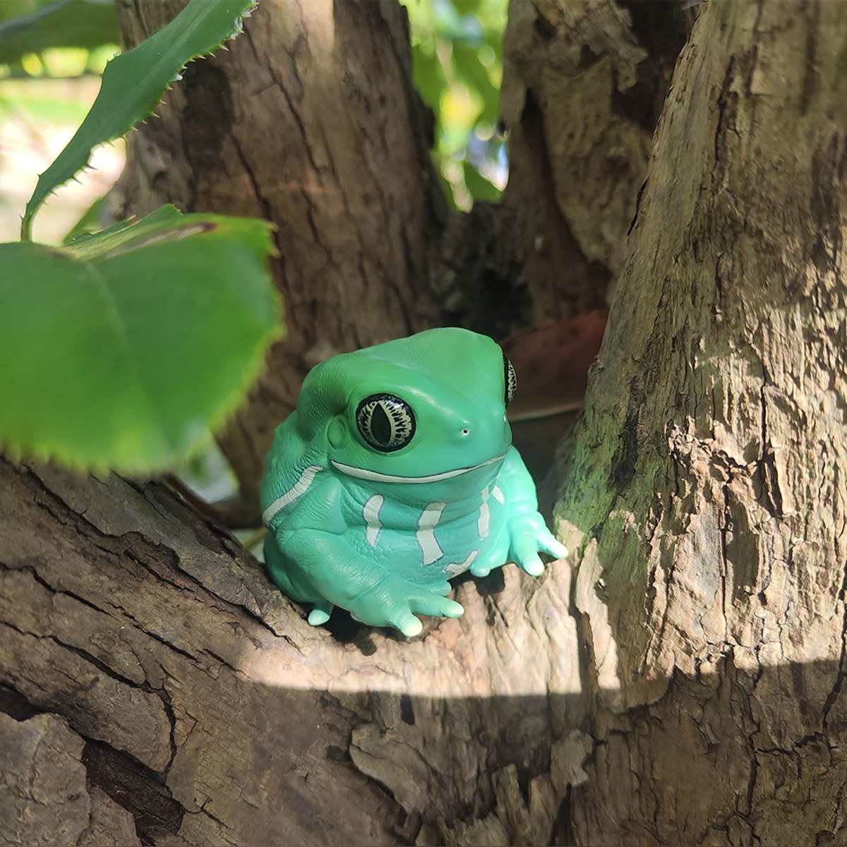 AHB Series 20 - Waxy Monkey Tree Frog – Phyllomedusa sauvagii | Frog
