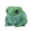 AHB Series 20 - Waxy Monkey Tree Frog – Phyllomedusa sauvagii | Frog