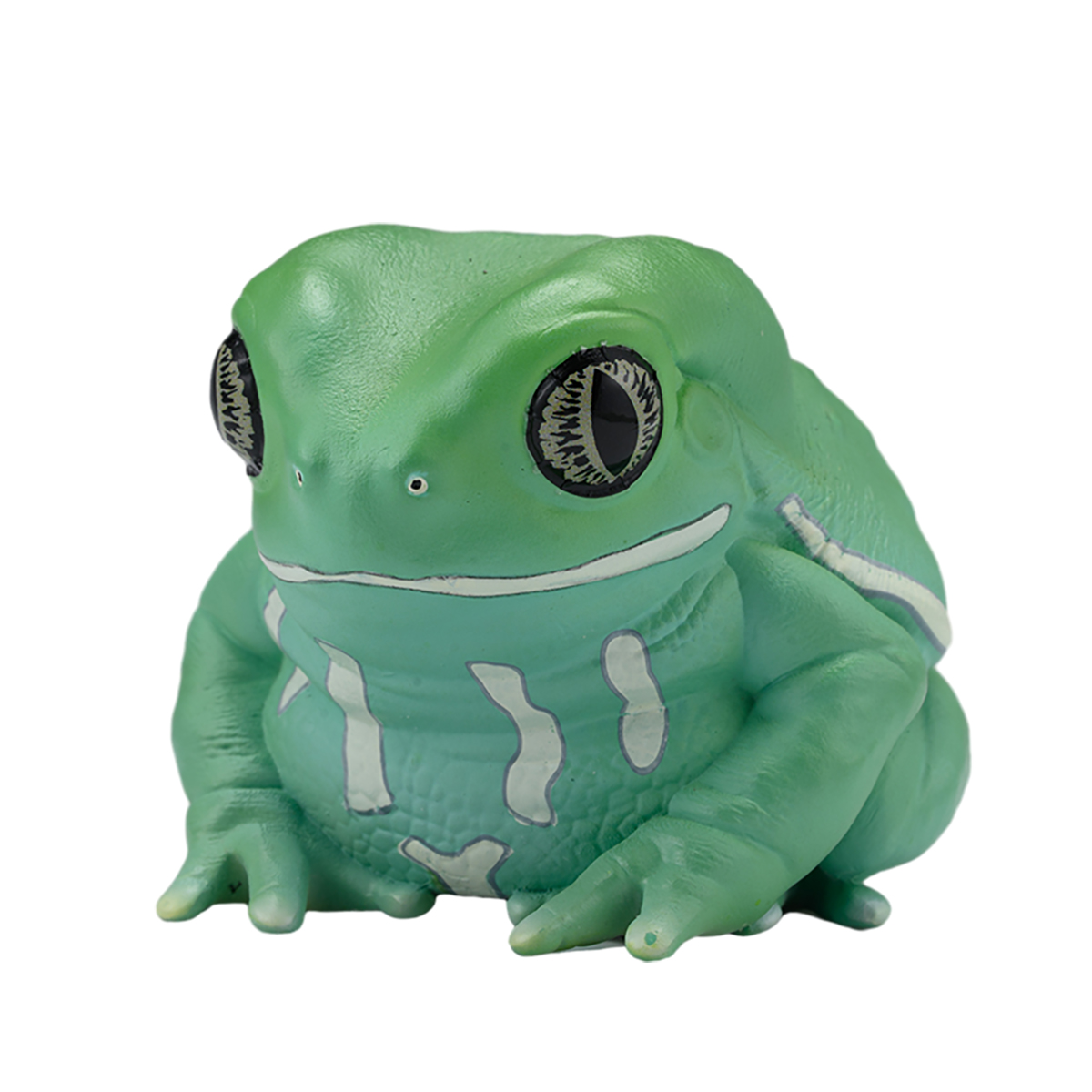 AHB Series 20 - Waxy Monkey Tree Frog – Phyllomedusa sauvagii | Frog