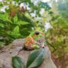 AHB Series 20 - Chacoan Horned Frog – Chacophrys pierottii | Frog