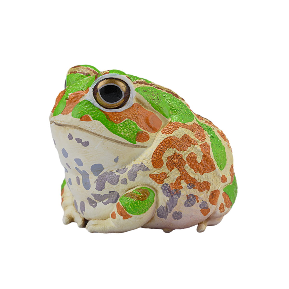 AHB Series 20 - Chacoan Horned Frog – Chacophrys pierottii | Frog